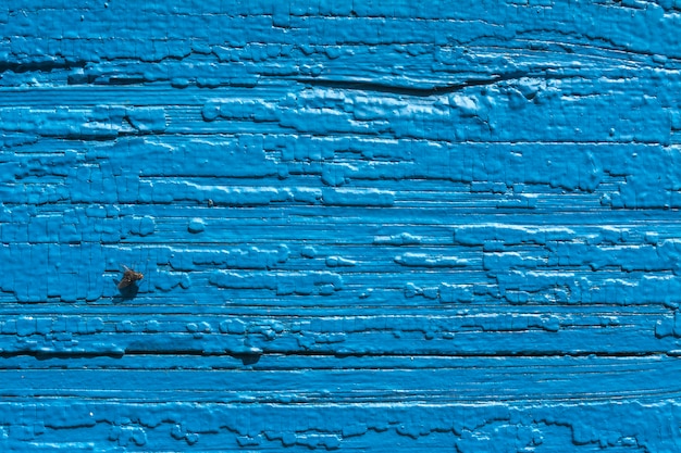 Textur. Alte bemalte Wand des Hauses. Alter hölzerner Zaun Blaue Farbe Fliegen Sie an Bord.