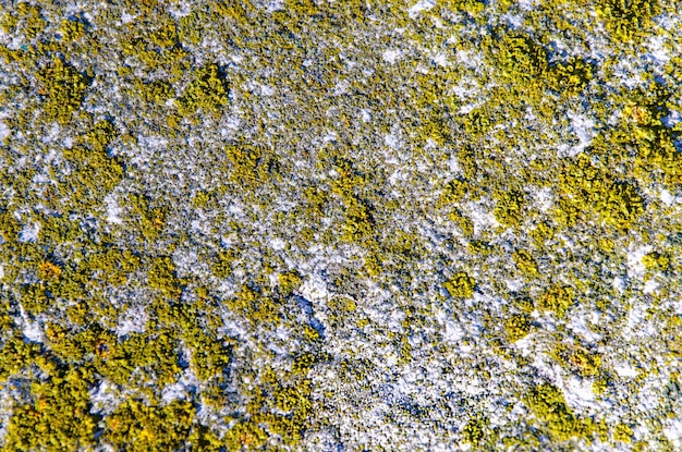 Textur alte Granitwand Hintergrund Nahaufnahme rotes Moos auf der Oberfläche