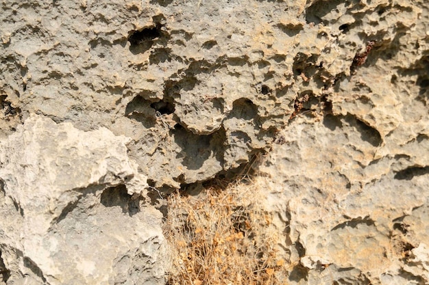 Textur aus Kalksteinfelsen und getrocknetem Gras auf dem Felsen