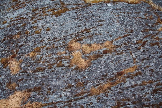 Textur aus Naturstein mit Moos und Schimmel. Platz für Text oder Werbung