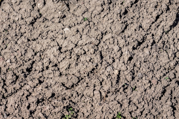 Textur aus trockenem Land. Trockenes Land während der Dürre