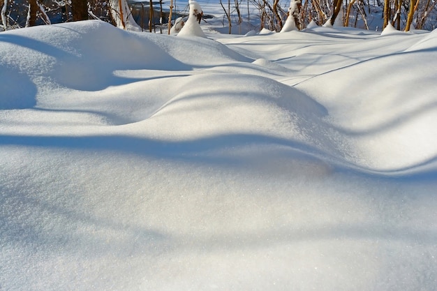 Textur aus weißem Schnee mit Schatten von Bäumen