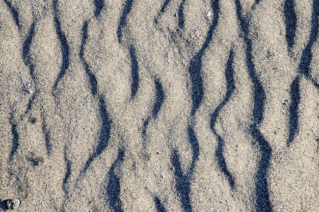 Foto textur sanddünenwüste auf der insel gran canaria spanien