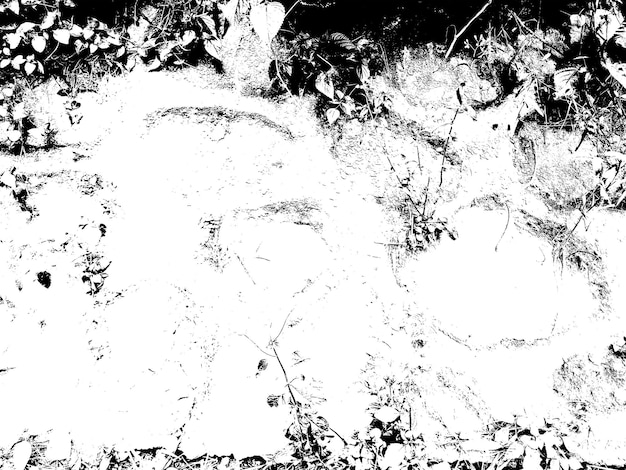 Foto textur schwarz-weiß-effekt künstlerische textur mit jpg-format