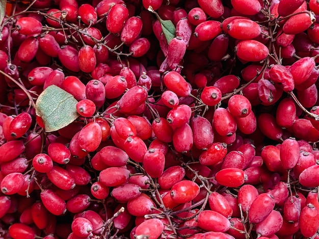 Textur von Berberitzenbeeren hautnah. Lebensmittelhintergrund, Details von Berberitzenbeeren.