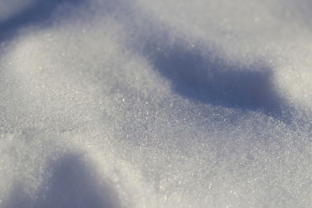 Textur von sauberem Schnee mit Schatten im Winterwald