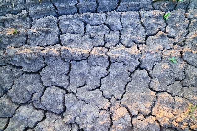 Textur Wüste Dürre Hintergrund abstrakte Erde geknackt Erwärmung global