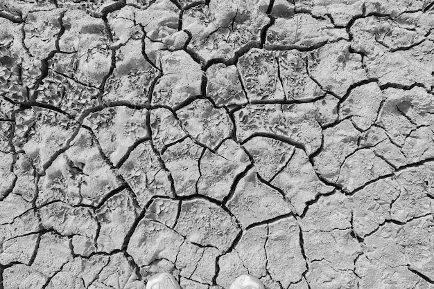 Textur Wüste Dürre Hintergrund abstrakte Erde geknackt Erwärmung global