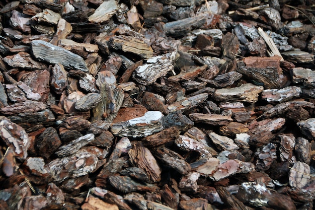 Textur zerquetschte Fragmente Rinde aus Holz.