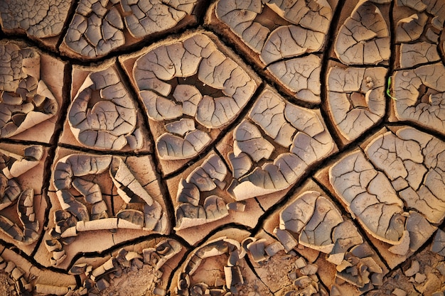 Textura à terra secada do solo rachado da terra.