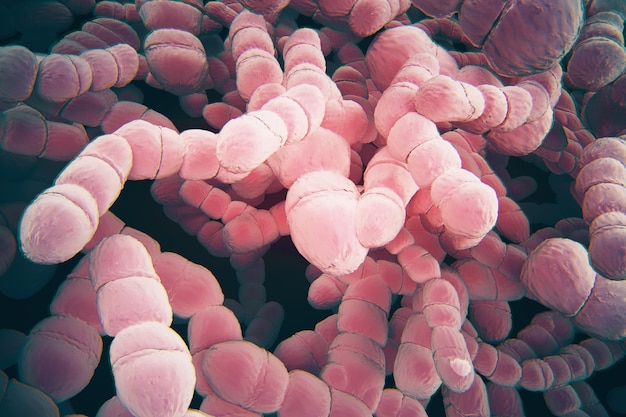Textura abstracta Gérmenes células de microorganismos bajo microscopio Rápida multiplicación de bacterias Infección y microbios de color rosa Microbiología fondo científico popular Renderización 3D