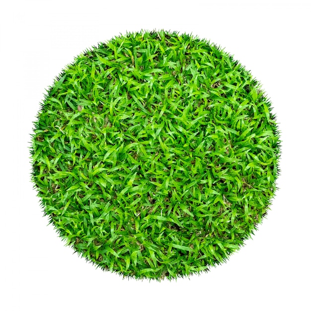Textura abstracta de hierba verde