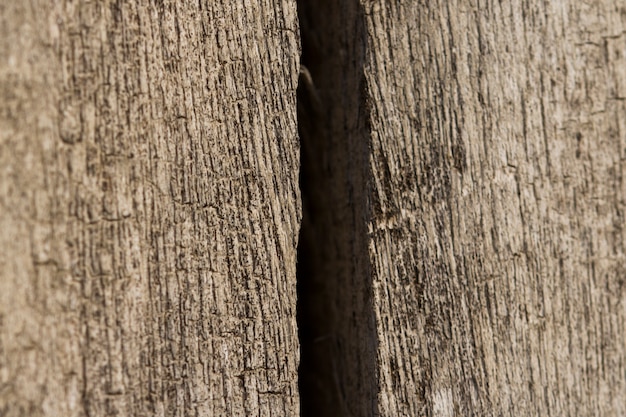 La textura abstracta del tocón de árbol, agrieta la madera antigua.