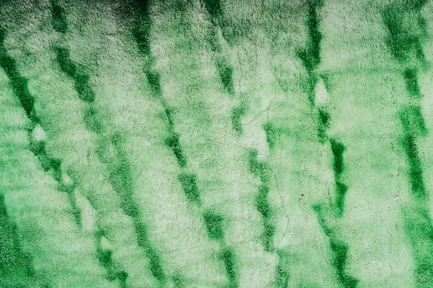 Textura abstracta verde