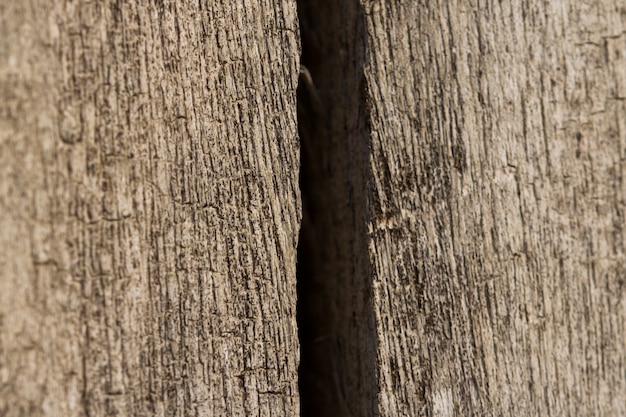 Textura abstrata do coto de árvore, madeira antiga da rachadura.