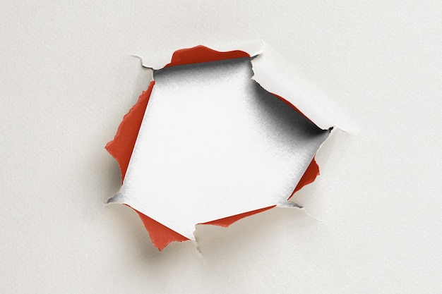 Textura del agujero del papel fondo transparente png