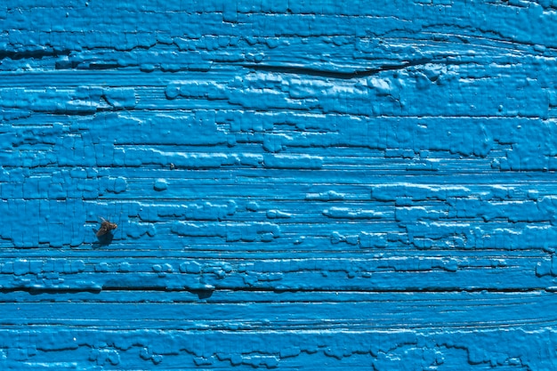 Textura. Antigua muralla pintada de la casa. Cerca de madera vieja. Pintura azul. Volar a bordo.