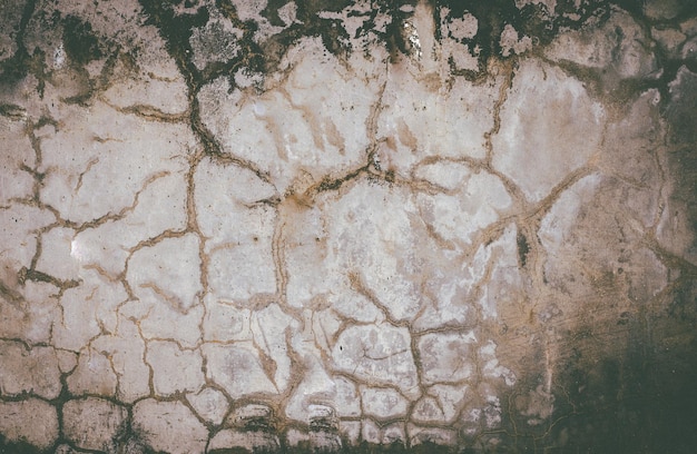 La textura del antiguo muro de hormigón para el fondoxA