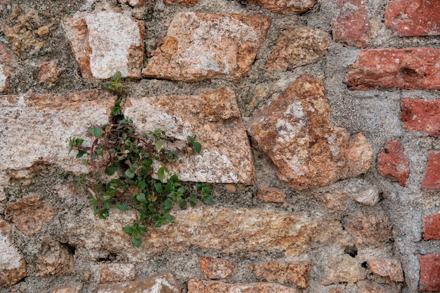 Textura de un antiguo muro de piedra