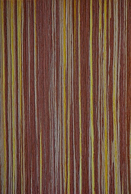 La textura de un árbol exótico El fondo es rojo amarillo y gris Líneas rectas