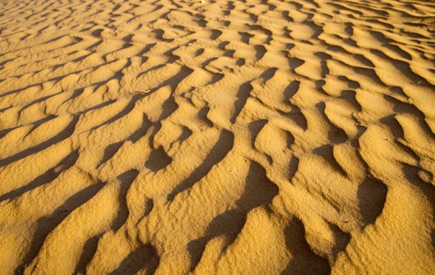 Textura de arena en el desierto de oro