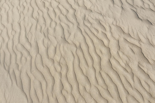 textura de arena en el fondo del desierto