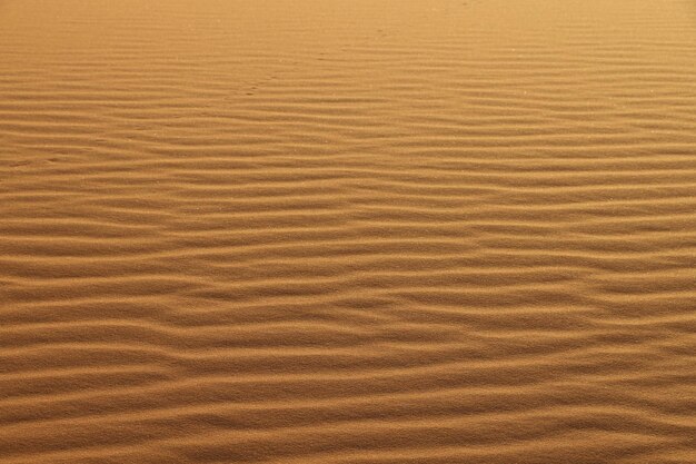 Foto textura de arena fondo de las dunas de arena del desierto dunas de arena de arena con onda de