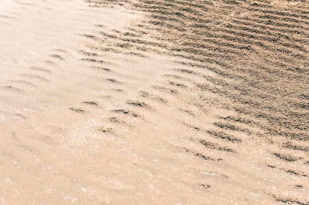 Foto textura de la arena fondo de la naturaleza