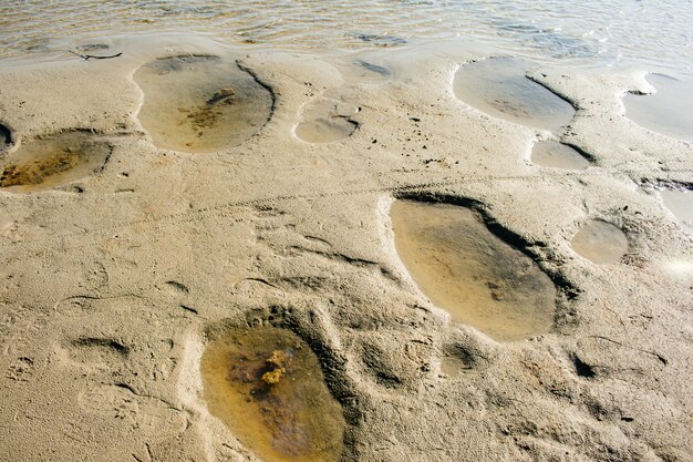 Textura de arena de mar de agua