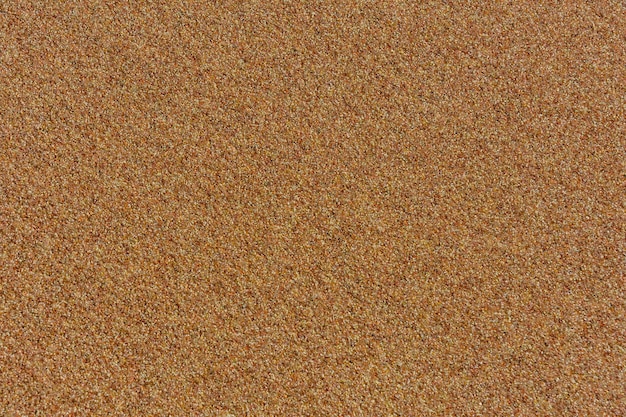 Textura de la arena mojada para el fondo