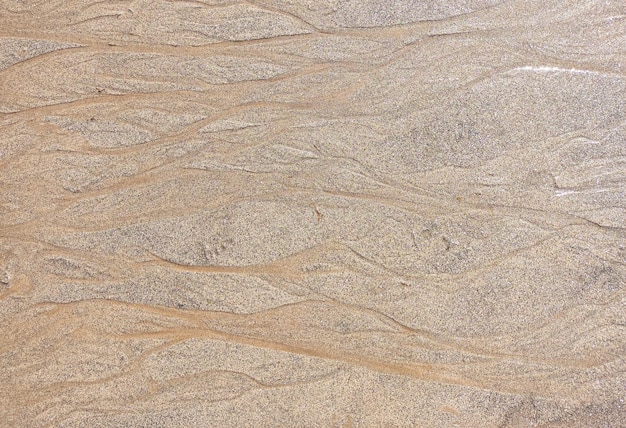 Textura de arena mojada de la playa Fondo beige de la orilla arenosa Orilla del mar limpia vacía