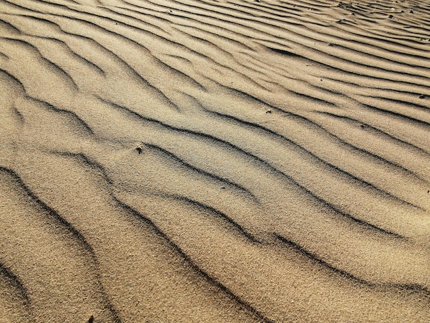 textura de arena natural