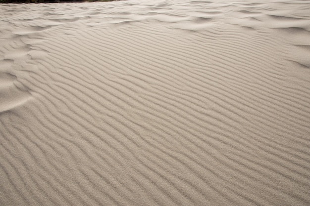 Textura de la arena Playa de arena para el fondo.