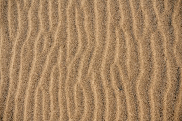 TEXTURA DE ARENA EN TARIFA ESPAÑA