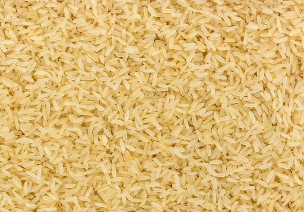 Textura de arroz hervido