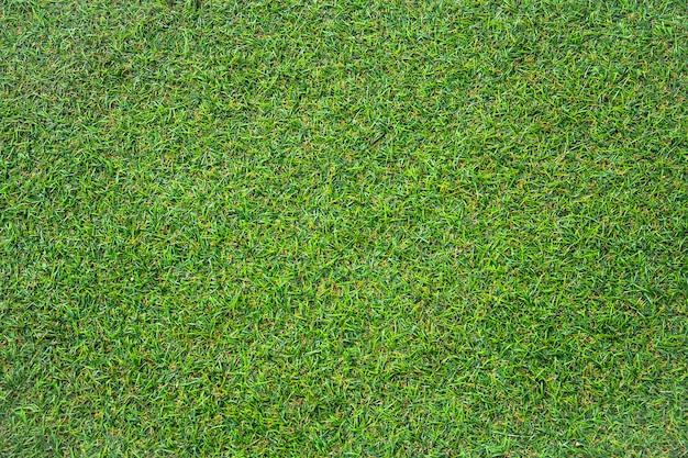 Textura artificial de grama verde com filtro vintage pode ser usada como plano de fundo