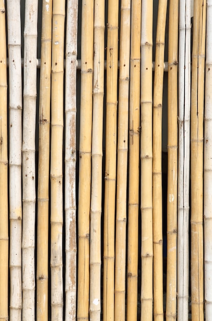 Foto textura de bambú