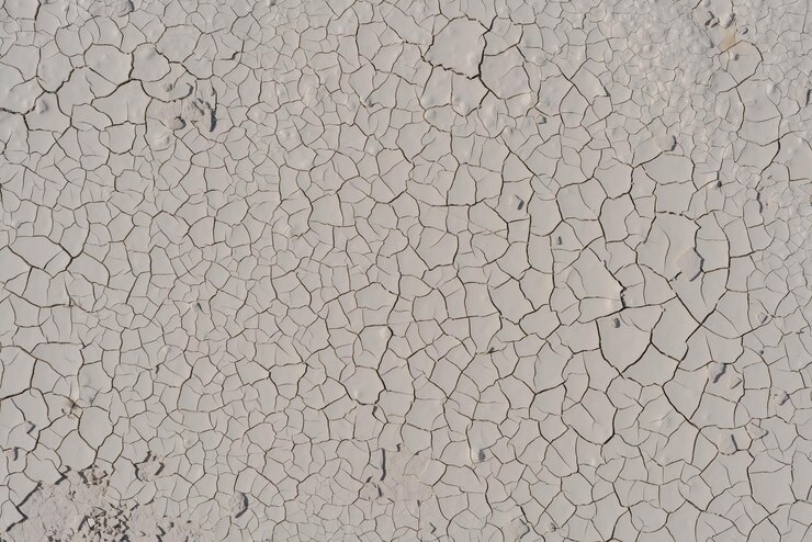 Textura de barro blanco agrietado seco