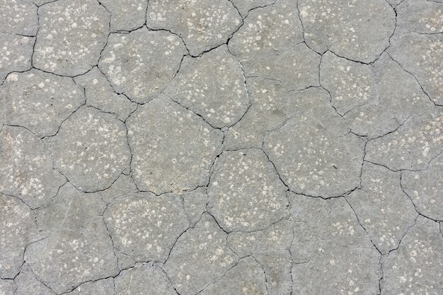 Textura de barro gris seco, tierra seca