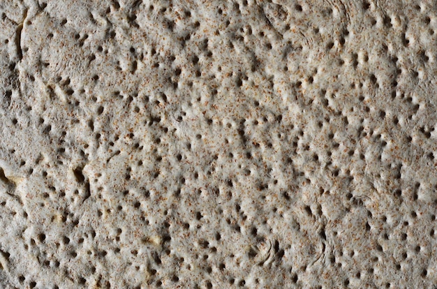 Foto la textura de la base para pizza instantánea en estado crudo.