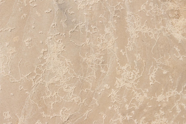 Textura beige arena en una textura de día soleado