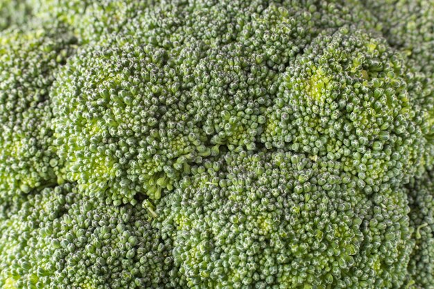 Textura de brócoli cerrar Brassica oleracea