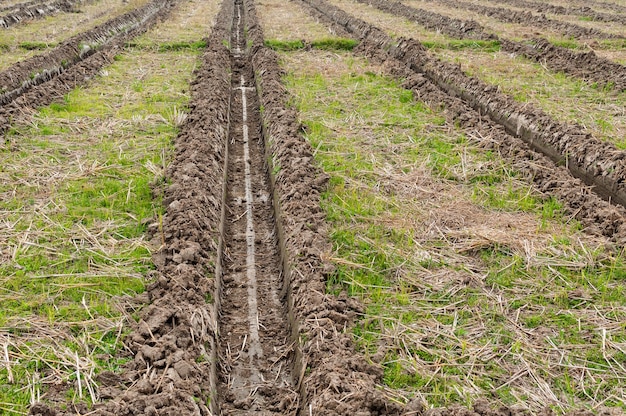 Textura de campo agrícola recién hechaCultivo de la tierra de campo