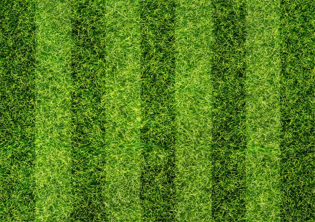 Textura del campo de fútbol