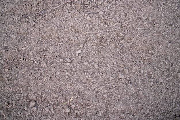 La textura del campo de turba del suelo triturado marrón se puede utilizar como papel tapiz de fondo