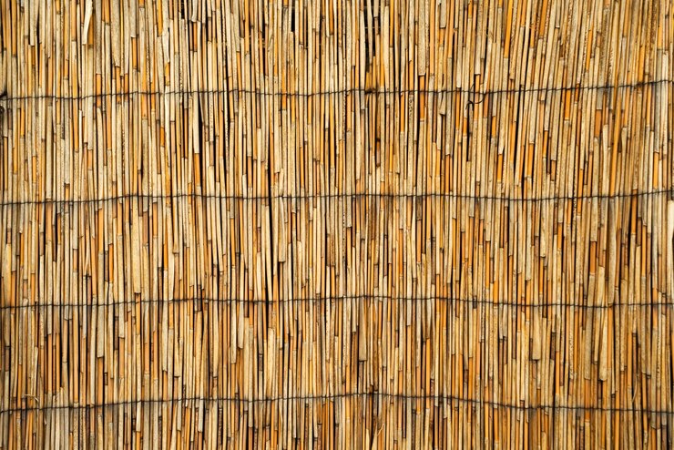 Textura de caña seca