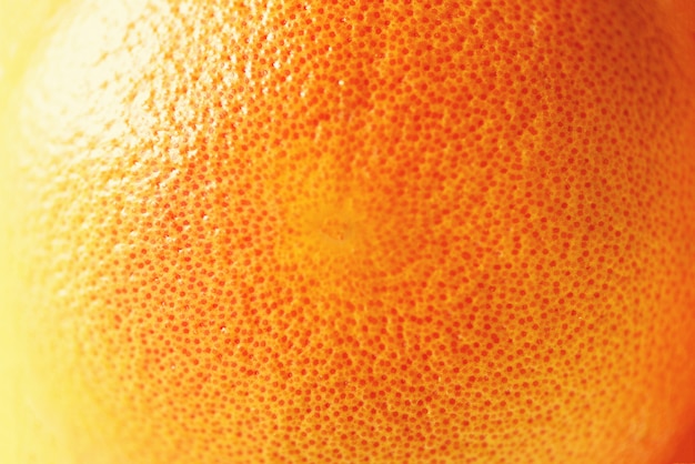 Textura de la cáscara anaranjada brillante fresca, primer, espacio de la copia. Macro de la fruta de naranja. Fruta cítrica