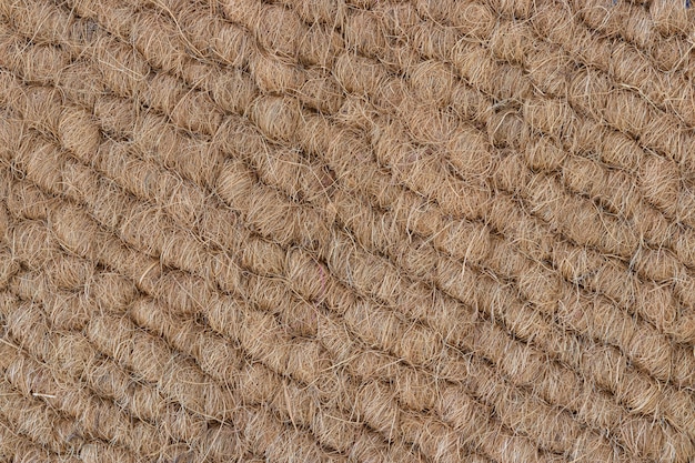 textura de cáscara de coco