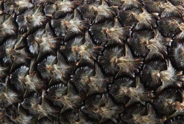 Textura de la cáscara de piña de frutas tropicales