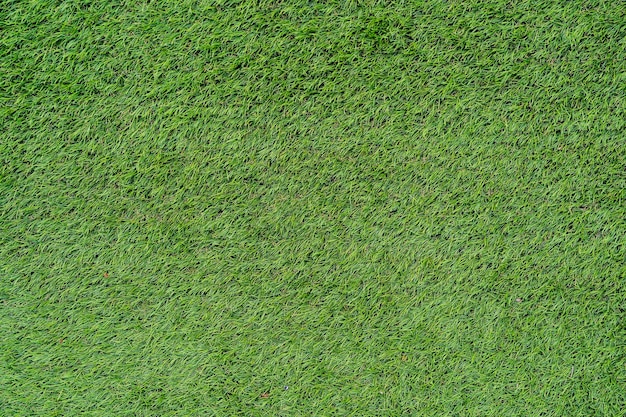 Textura de césped de hierba verde vista desde arriba